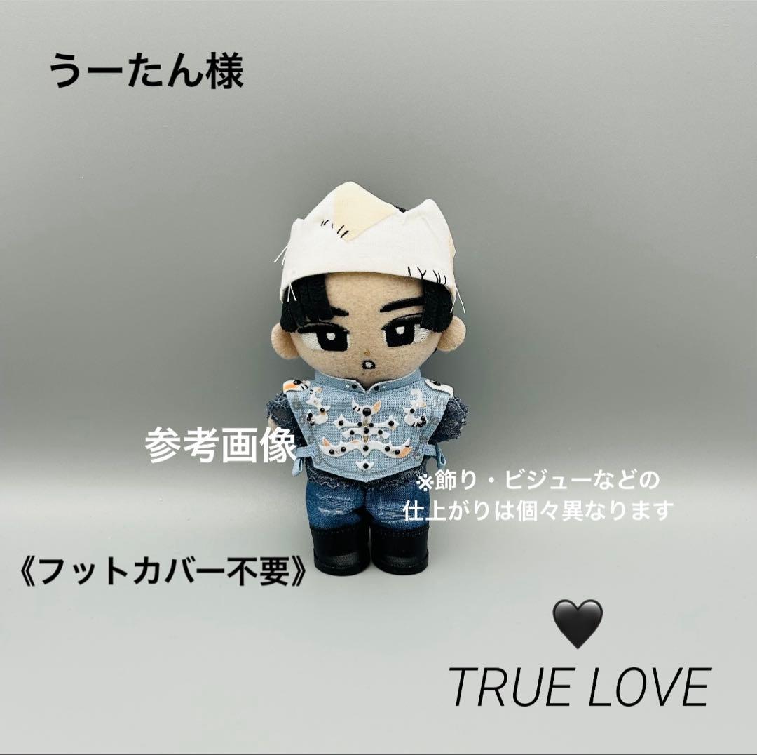 すのチル ぬいぐるみ衣装 TRUE LOVE 目黒蓮 - メルカリ