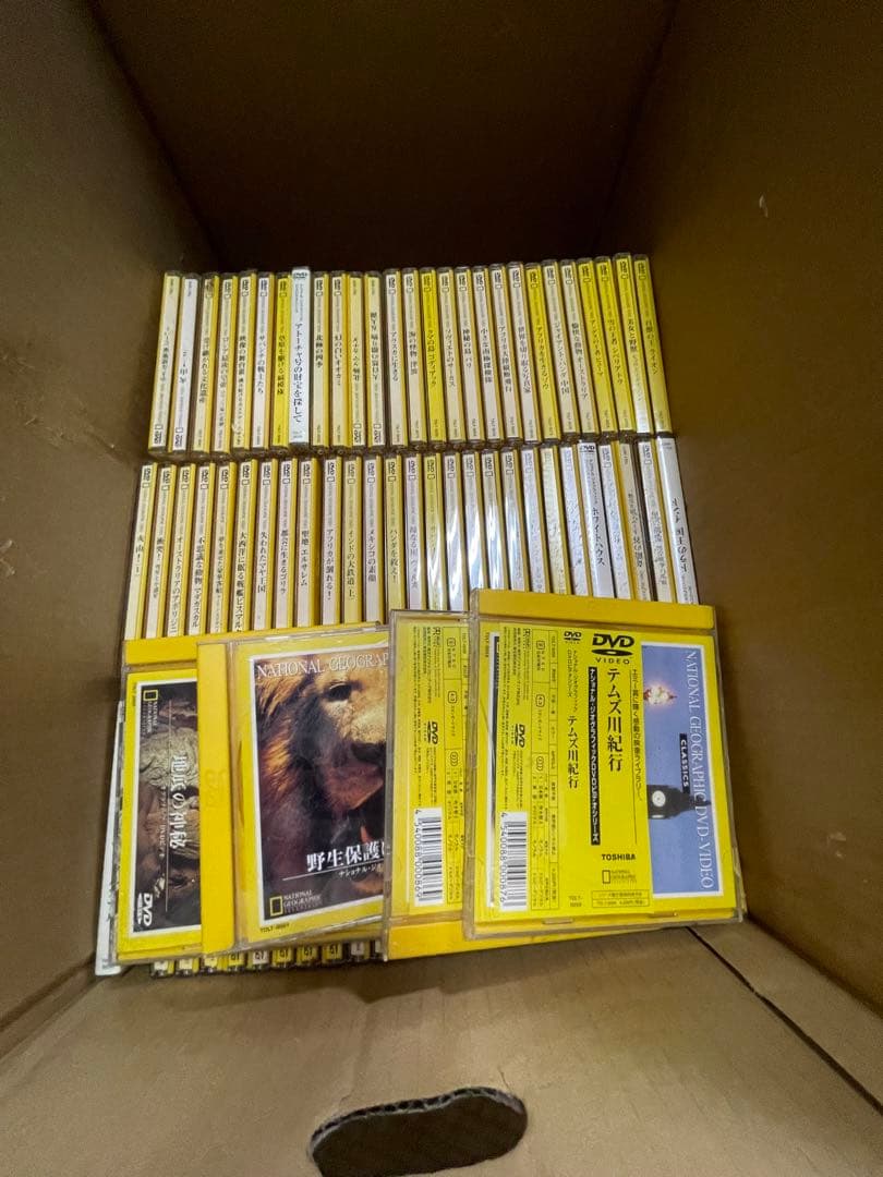 ポ*グ様 野生動物・ナショナルジオグラフィック DVDセットほぼ揃ってます2枚ほ ポ*グ様 野生動物・ナショナルジオグラフィック DVDセットほぼ揃ってます2