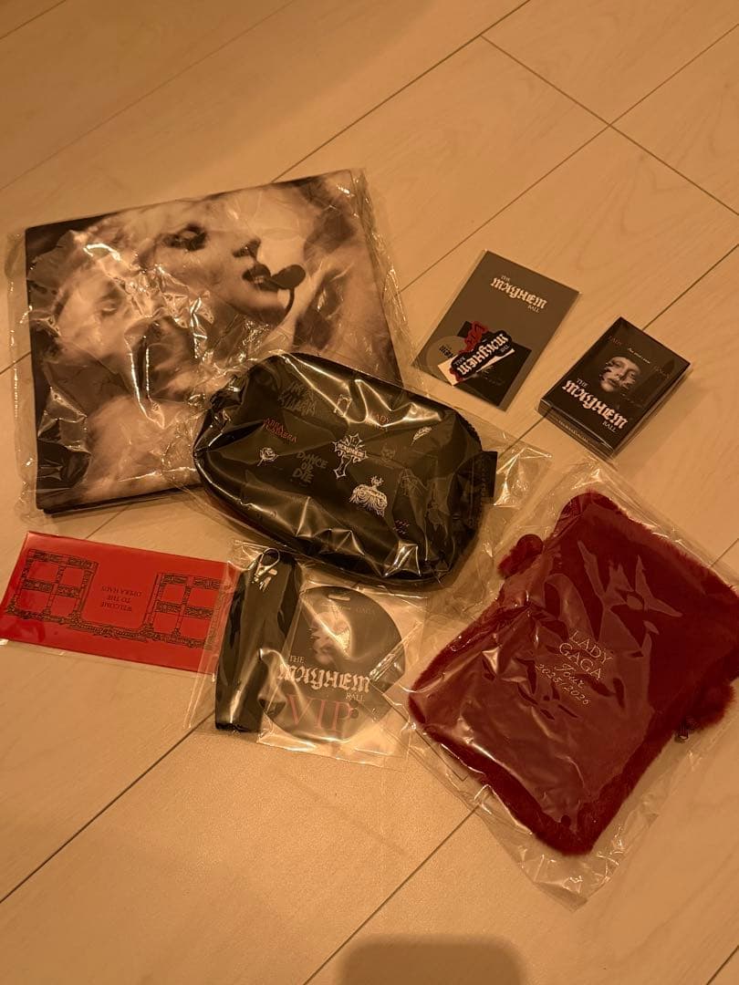 Lady Gaga VIP GOLD ゴールド 限定特典 7点 フルセット レディーガガ東京ドーム VIP GOLD特典限定グッズフルセット7点とリスト