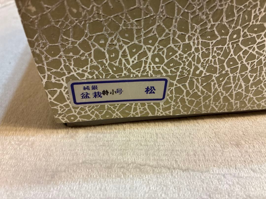 純銀製 光則作 盆栽 特小号「松」ガラスケース・紙箱付き - メルカリ