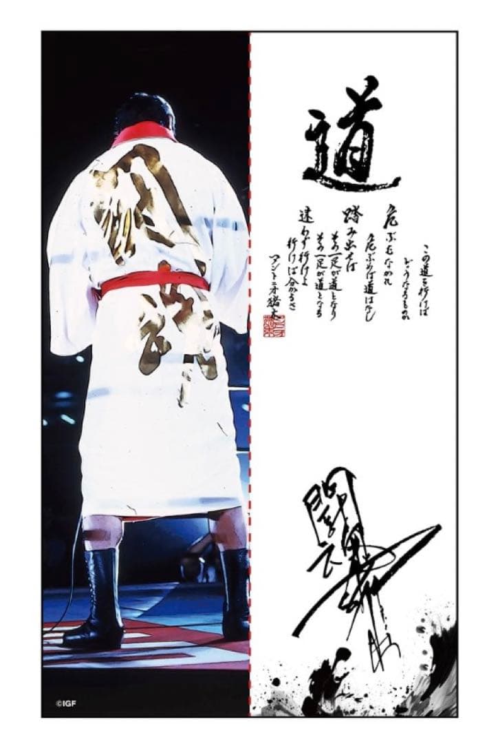 apjdoa様専用】 アントニオ猪木 タペストリーのれん（道） - メルカリ