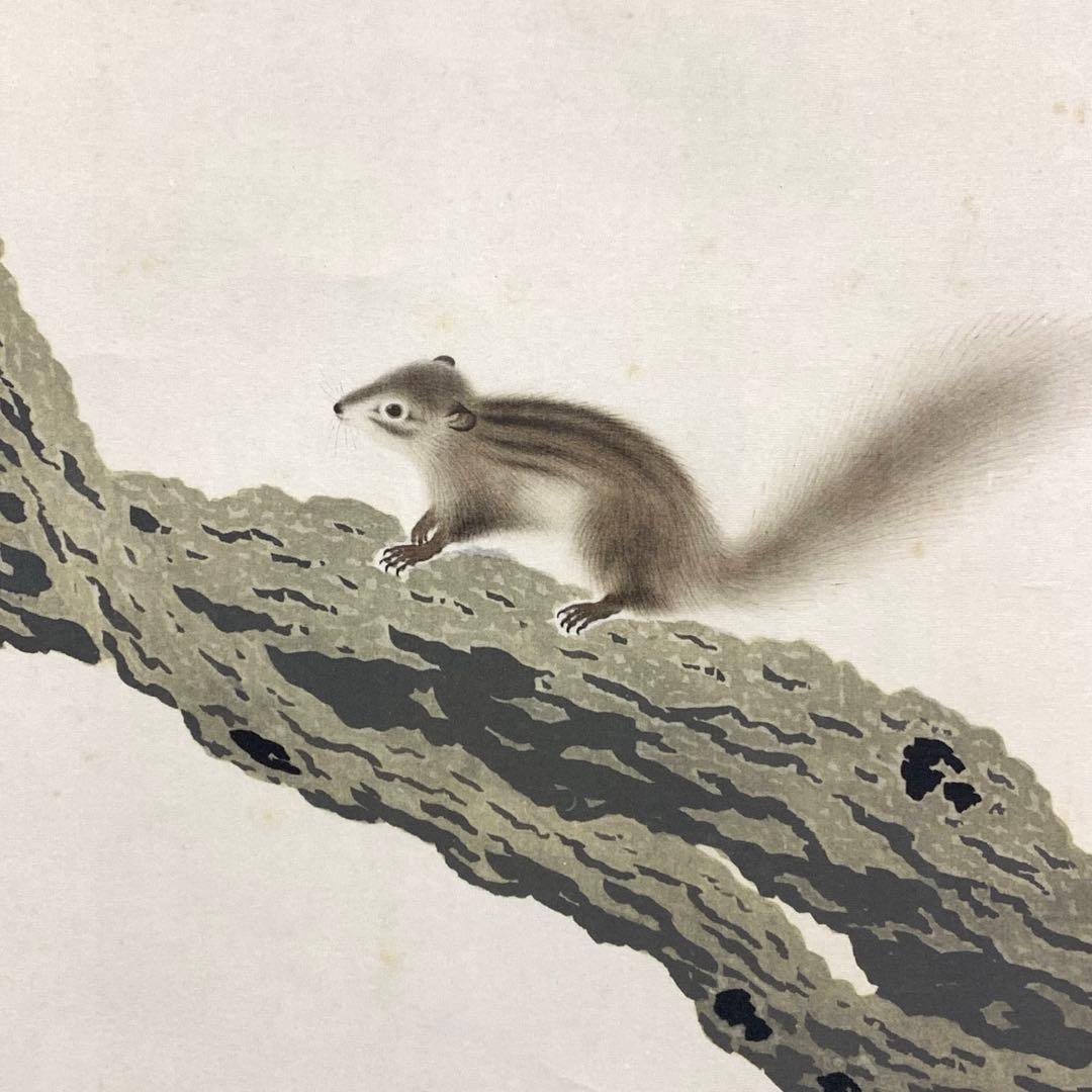 掛軸 菱田春草 栗鼠 木箱 工芸 りす 秋 3-12 - メルカリ