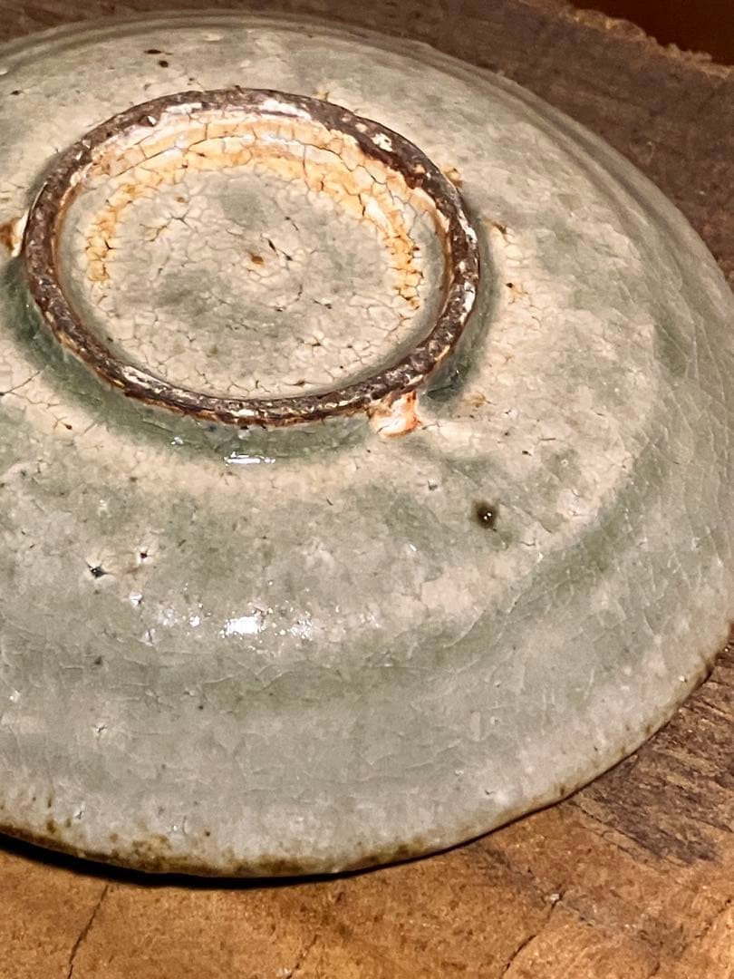 太古の皿写し 現代作家の皿