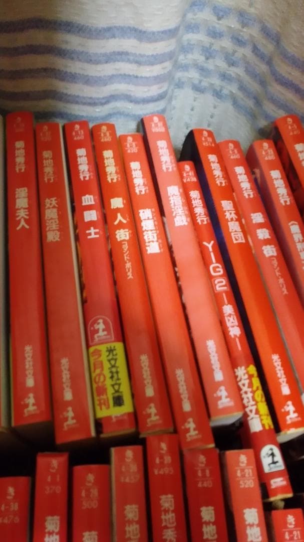 期間限定お値下げ！早い者勝ち！　菊池秀行さん　１１４冊セット