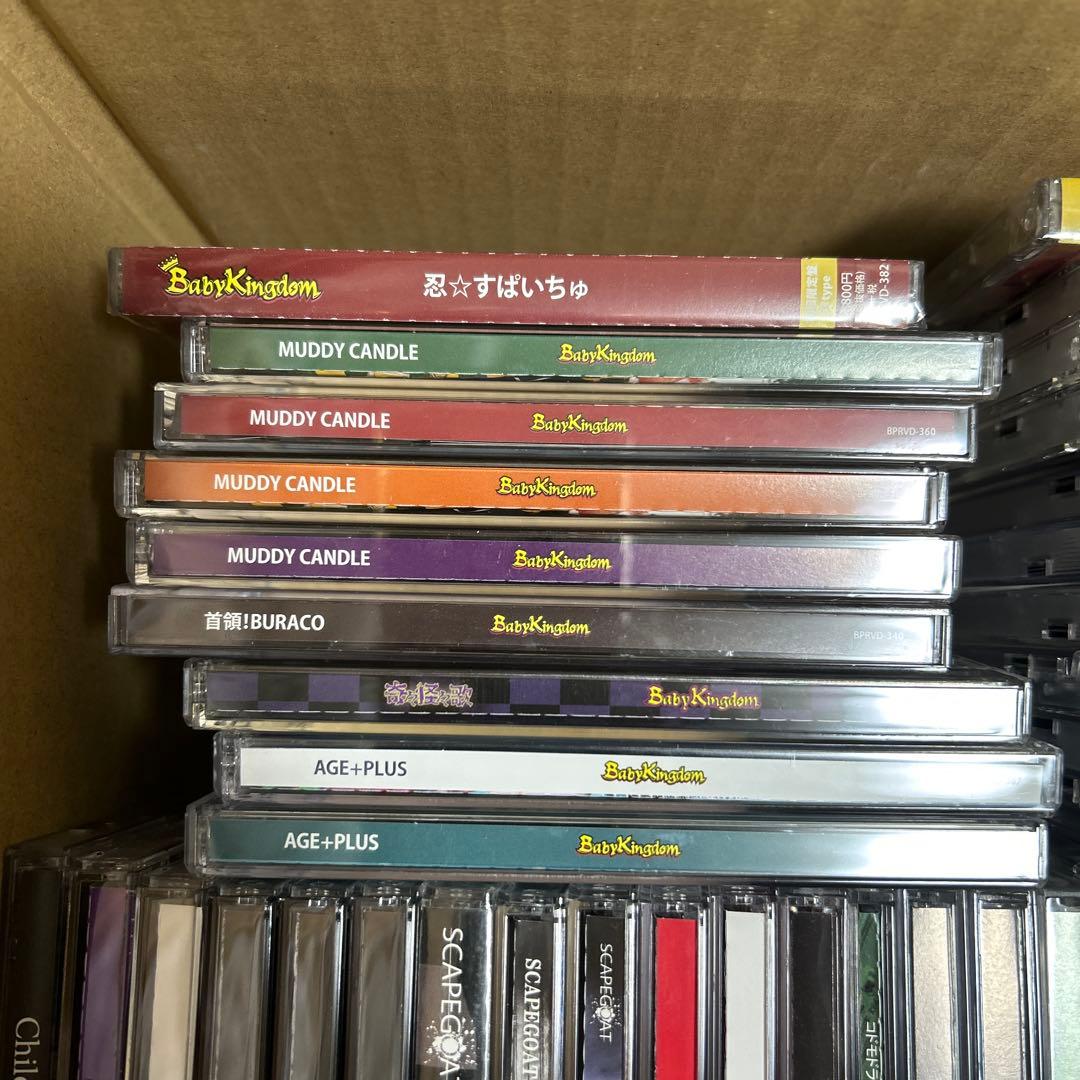 BabyKingdom コドモドラゴン　CD DISCOGRAPHY｜コドモドラゴン Official web site