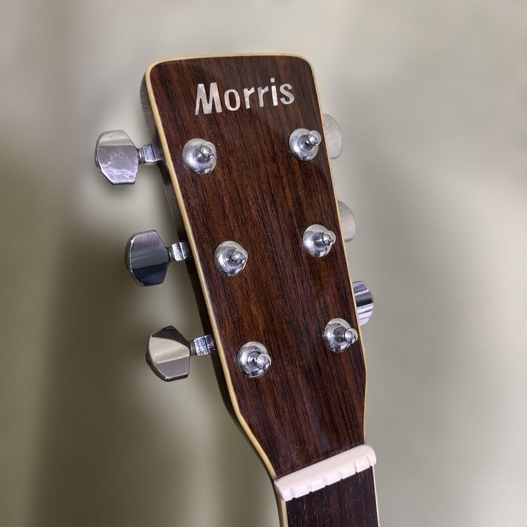 Morris Special W-35 ハードケース ストラップ ゴム式カポ付き - メルカリ