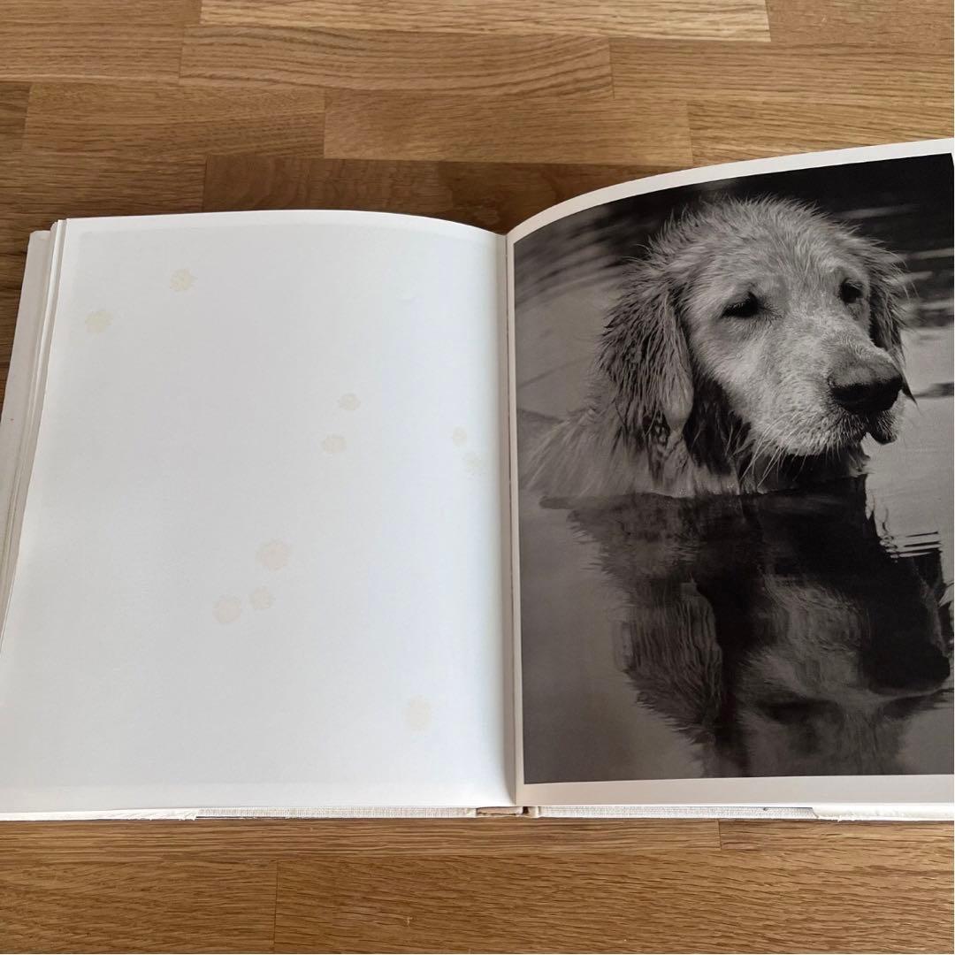 BEAR POND Bruce Weber 初版本 1990年 写真集 希少本 - メルカリ