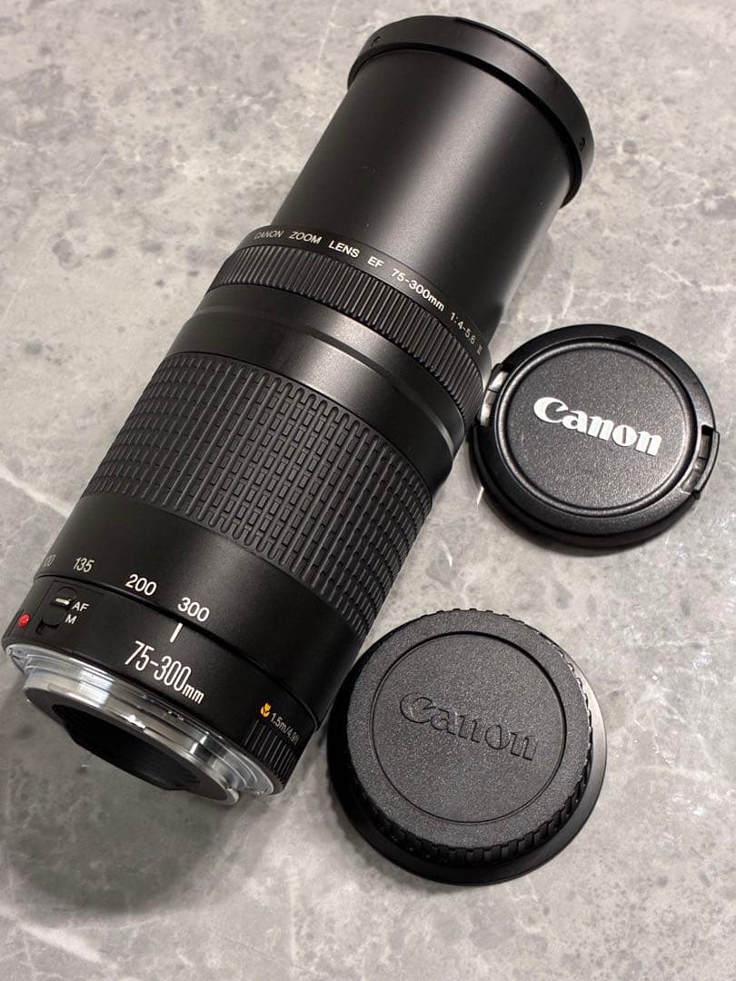 ⭐️美品⭐️キャノン Canon EF 75-300mm F/4-5.6 II 望遠