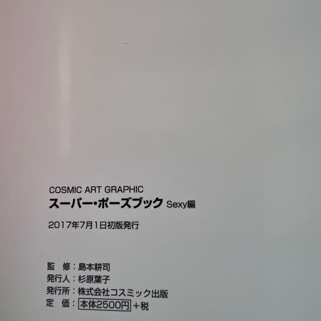 美品　スーパー・ポーズブック Sexy編　園田みおん