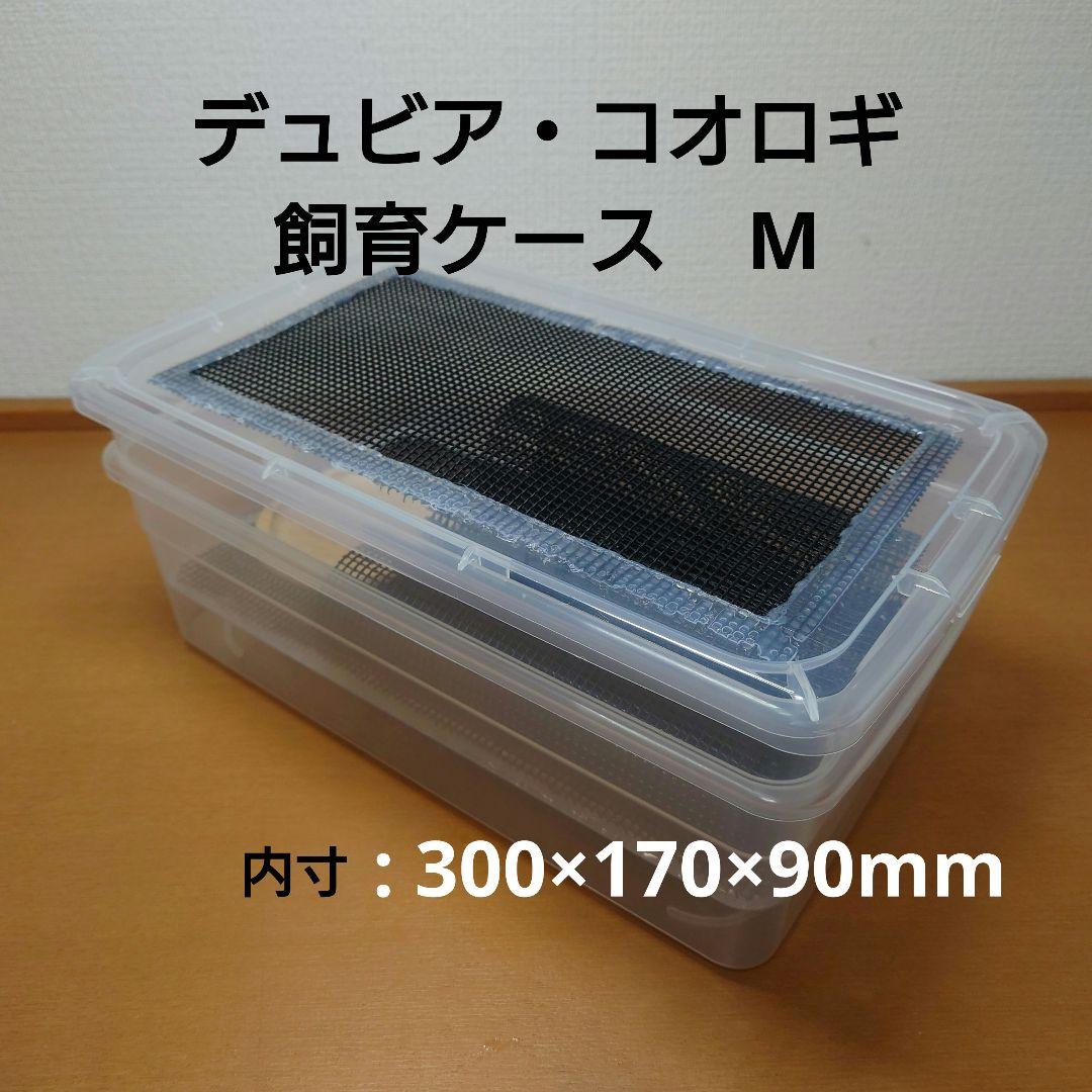 デュビア飼育ケージ Mサイズ 二重底上段メッシュ底構造 - メルカリ