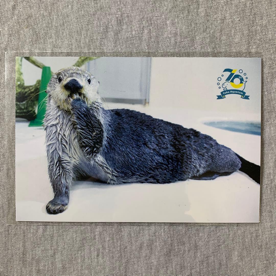 鳥羽水族館 メイ☆キラ ポストカード - メルカリ