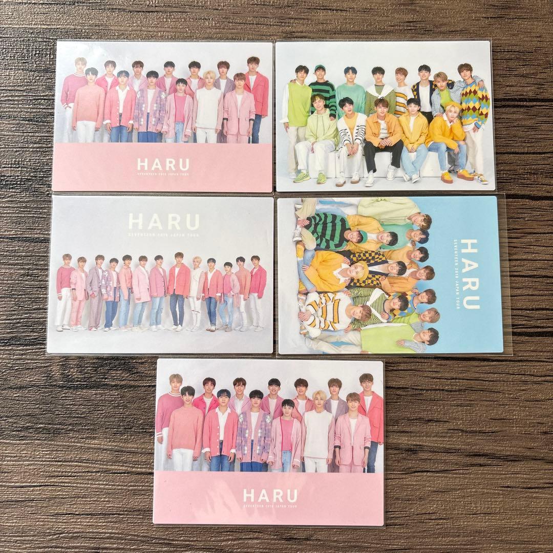 SEVENTEEN HARU トレカファイル 限定トレカ No.131 - メルカリ