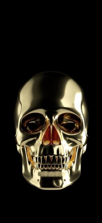 専用です ホンダ（HONDA） ライブディオZX AF35 キーシャッター付車専用 外装