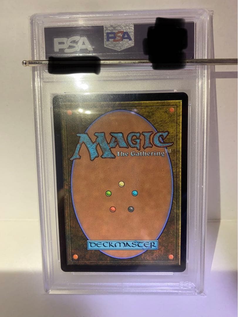 放浪皇　PWCS　PSA鑑定済