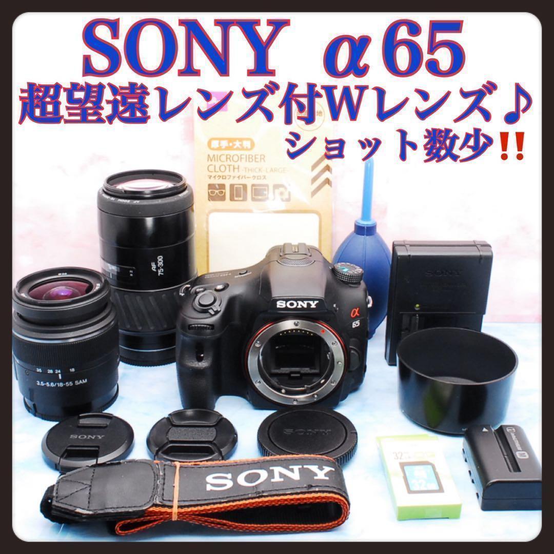 高速連写＆高画質★ソニー α65★一眼レフカメラ★超望遠レンズ付Wレンズ α65 | デジタル一眼カメラα（アルファ） | ソニー
