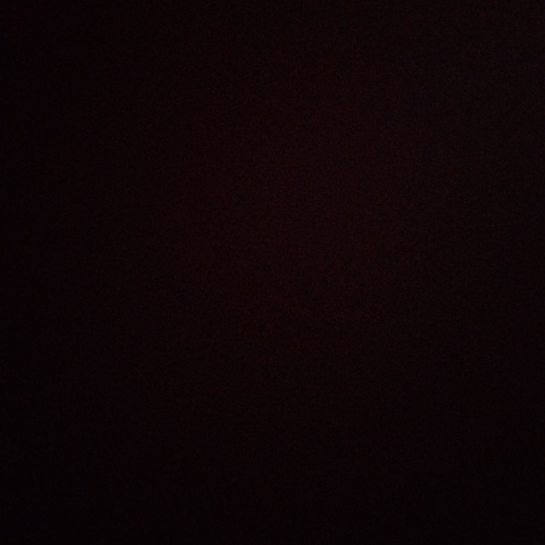 にこる様確認用 ココル CO005_50_ﾌﾞﾗｳﾝ/ﾎﾜｲﾄｺﾞｰﾙﾄﾞ | メガネ通販・取り寄せ専門サイト