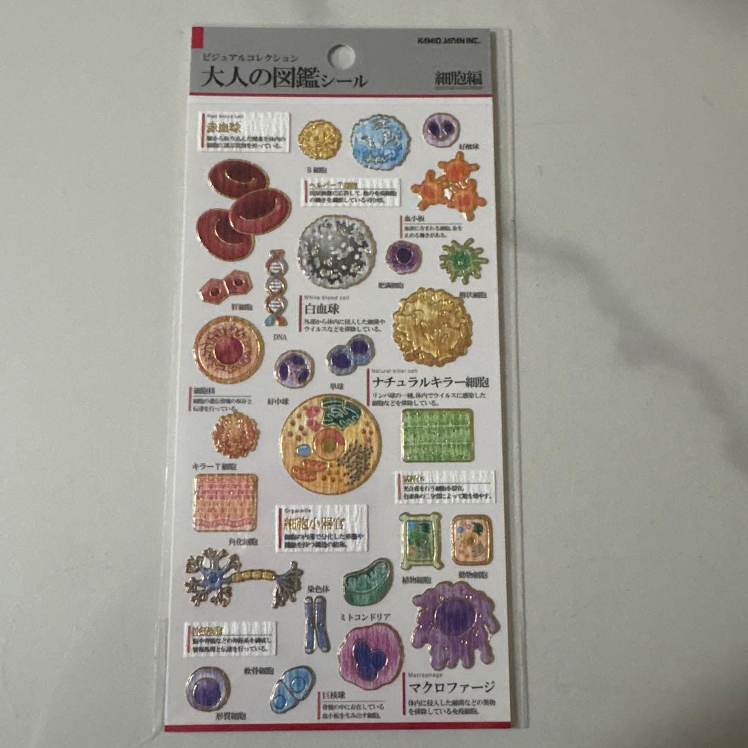 なー様 リクエスト 3点 まとめ商品 - メルカリ