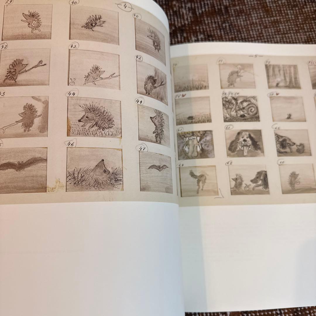 【稀少】ユーリー・ノルシュテインの仕事+DVD2枚セット