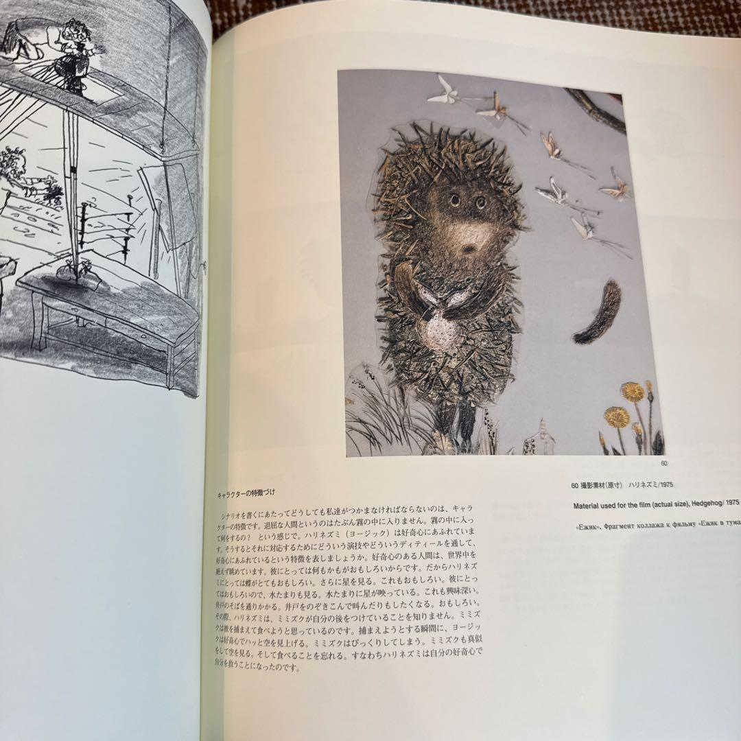 【稀少】ユーリー・ノルシュテインの仕事+DVD2枚セット