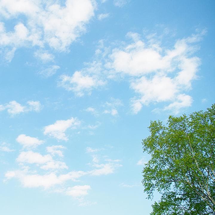 その他 zen.m African Braiding in Atlanta: Summer Braids Guide | TikTok