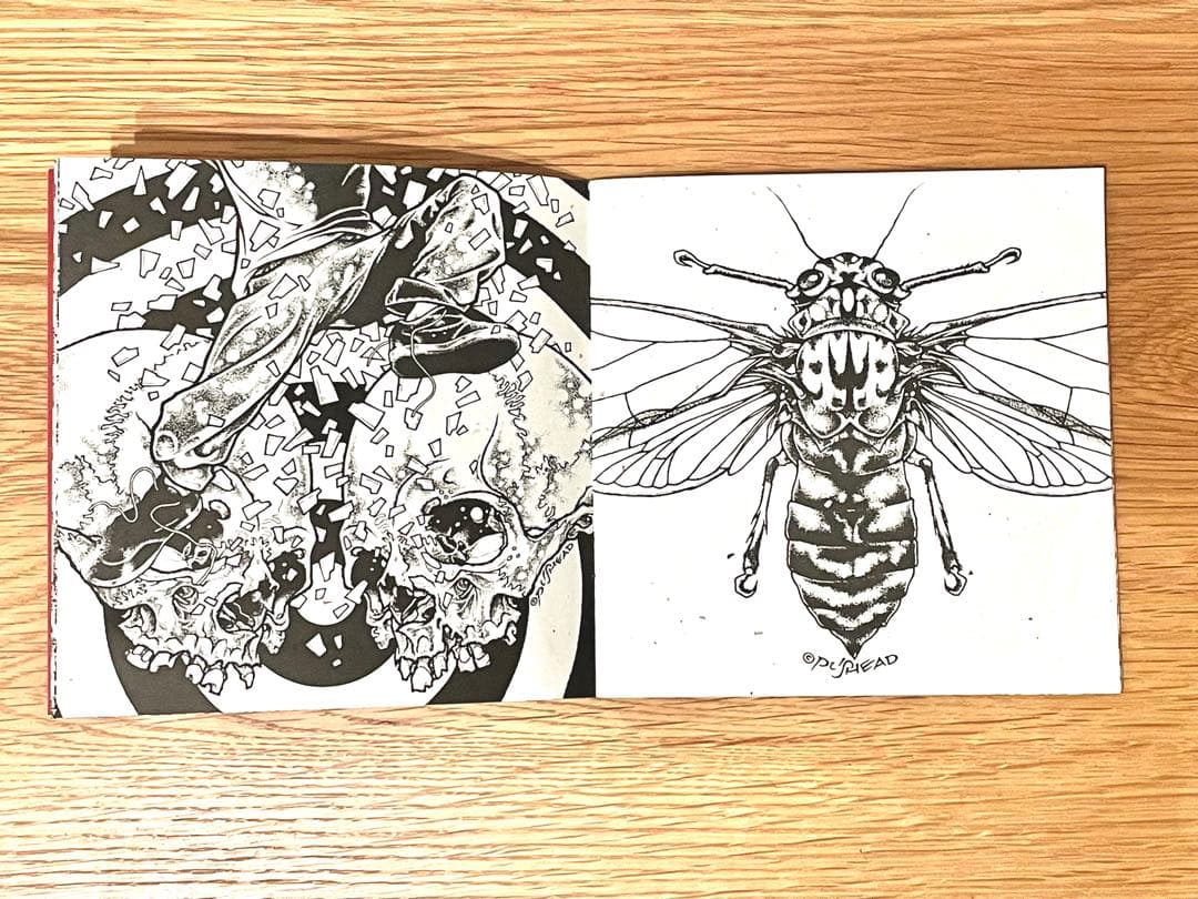 希少】PUSHEAD パスヘッド 画集 Bacteria Sour サイン入 - メルカリ