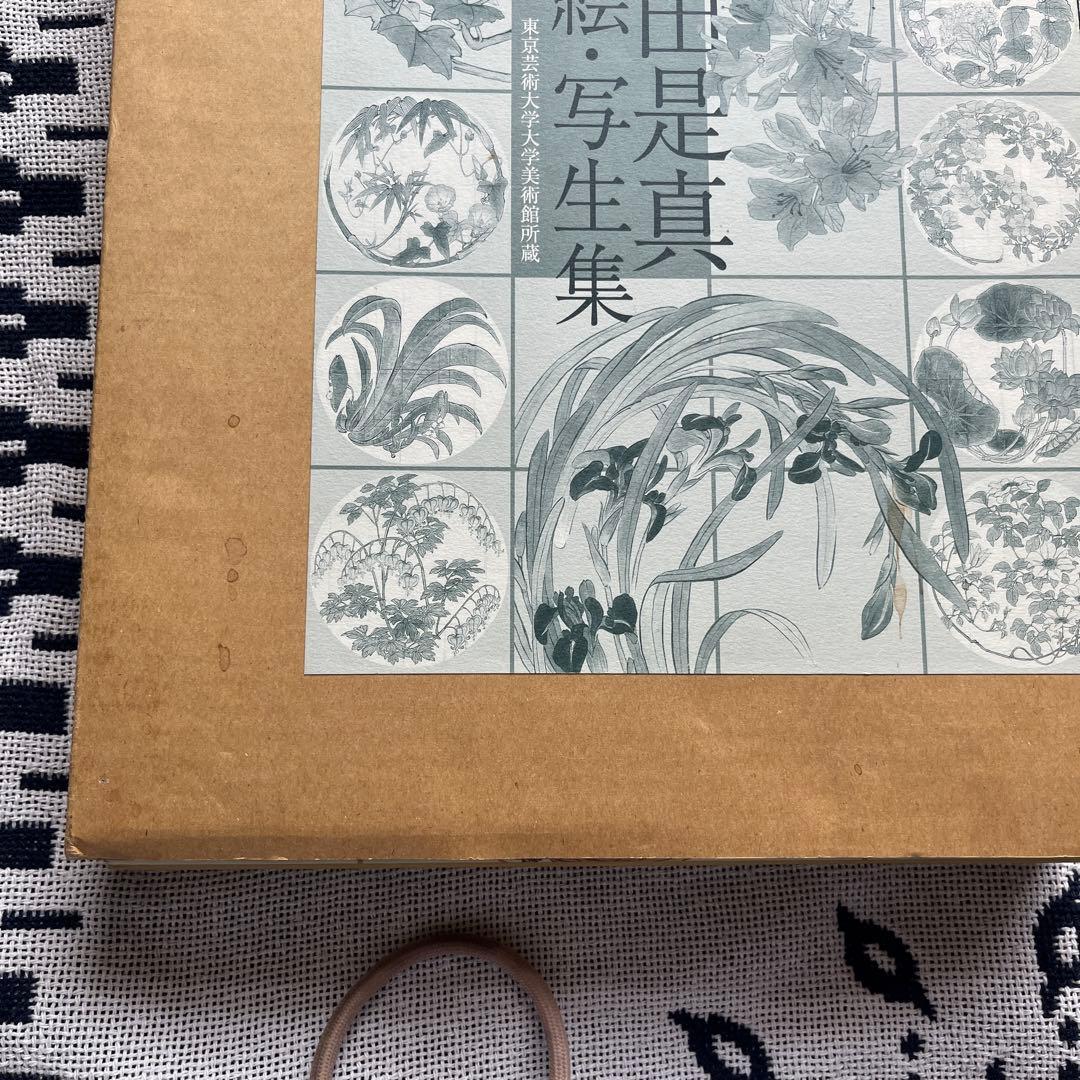 柴田是真 下絵写生集