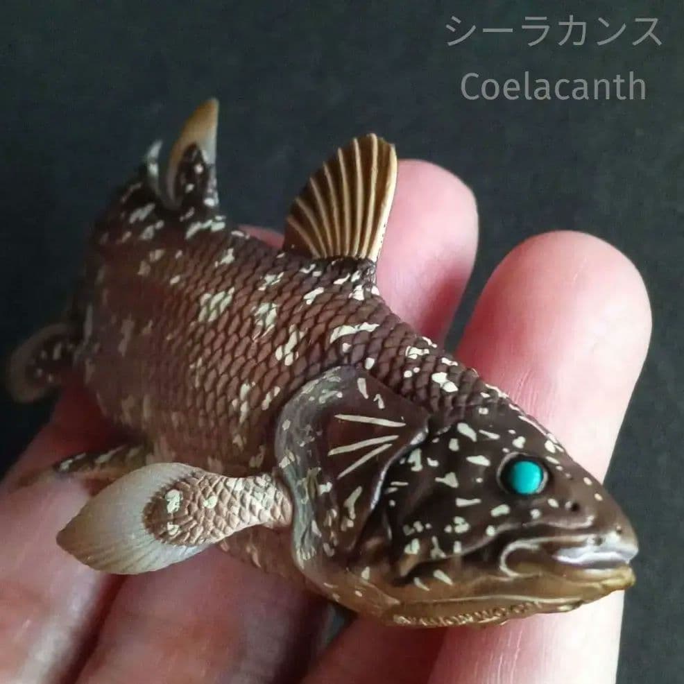 生きた化石 シーラカンス 精密フィギュア 模型 深海魚 - メルカリ