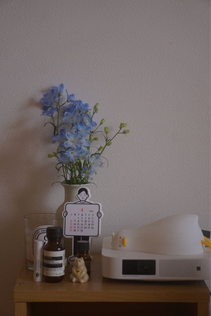 SONY E 55-210mm F4.5-6.3 ズームレンズ