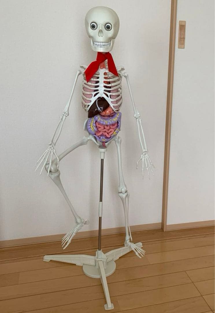 おしえて！おしゃべりガイコツ ホネッキー デアゴスティーニ - メルカリ