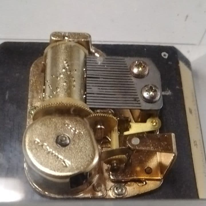 尾崎豊“卒業”  スケルトンオルゴール