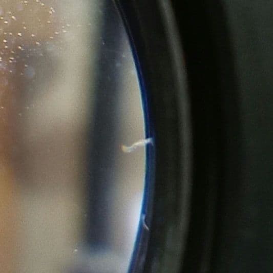 《希少》CANON FL 55mm F1.2 【光学美品】