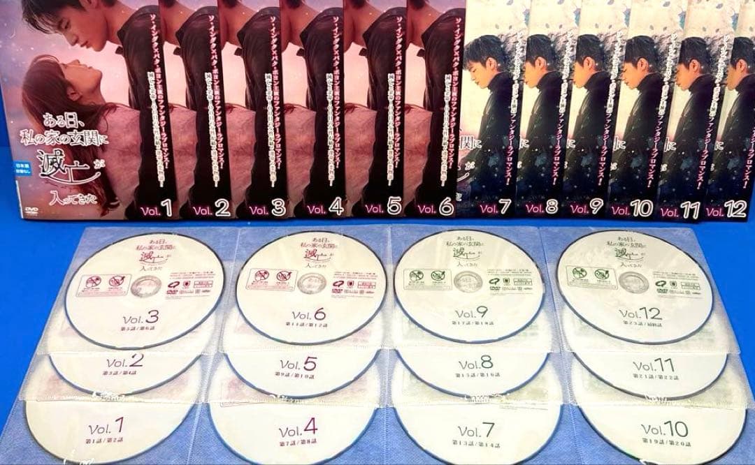 ある日、私の家の玄関に滅亡が入ってきた DVD 全12巻 ソ・イングク