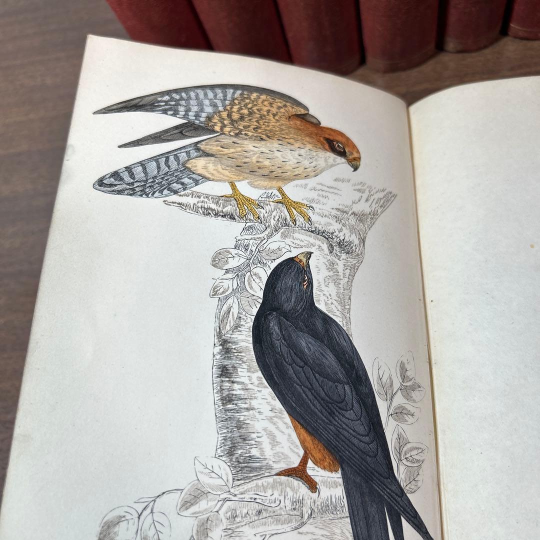 ア*リ様 ☆英国鳥類図鑑 モリス A History of British Bi - メルカリ