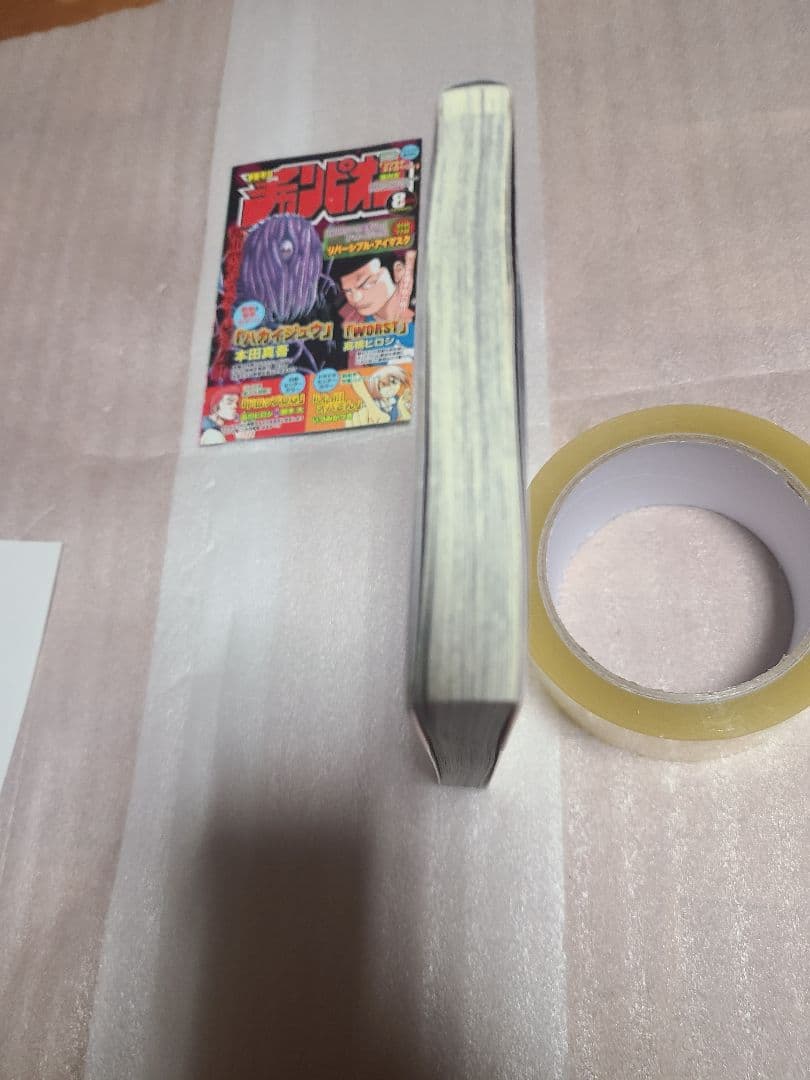 聖闘士星矢ロストキャンバス カプリコーン アニメイト 特典 ペーパー