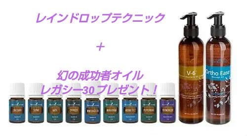 【最終値下げ】ヤングリビング・レインドロップテクニック特大サイズセット 最終値下げ】ヤングリビング・レインドロップテクニック特大サイズ