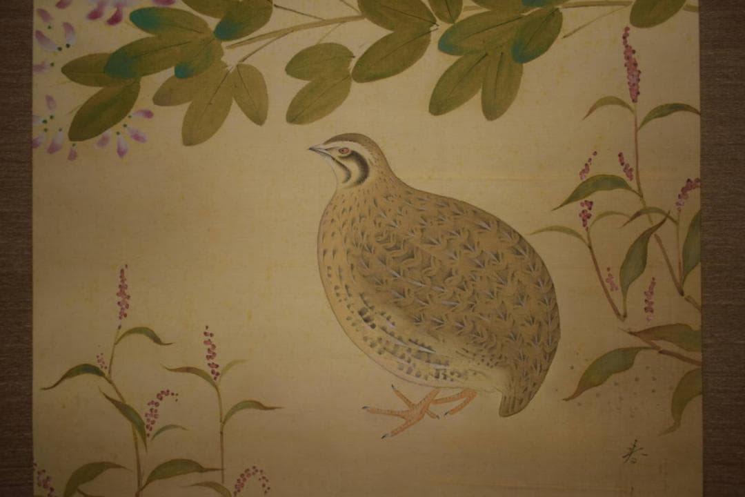 真作/貴道春鳳/敬太朗/萩に鶉図/ウズラ図/布袋屋掛軸HI-760 - メルカリ