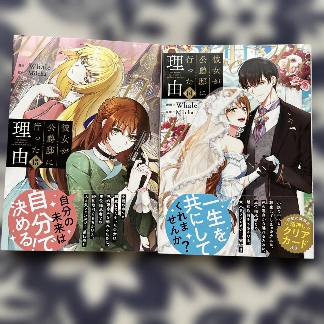 彼女が公爵邸に行った理由 1〜14 完結