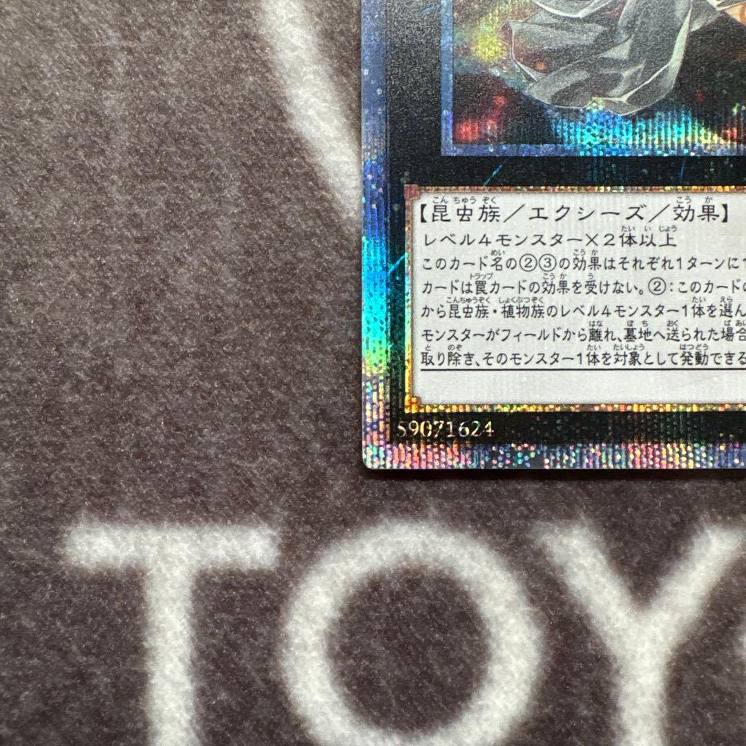 遊戯王 アロメルスの蟲惑魔 20thシークレットレア - メルカリ