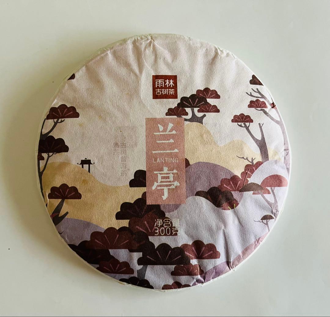 新品未開封】雨林古樹普洱茶(プーアル茶)・熟茶 - メルカリ