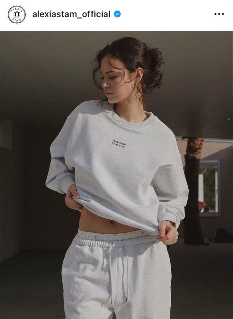 ALEXIA STAMグレー スウェット トレーナー 人気 ALEXIA STAM グレー スウェット - メルカリ