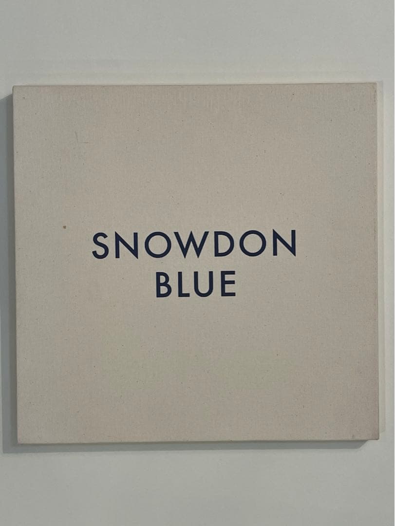 DON BLUE acne paper david bowie 希少品 DON BLUE acne paper david bowie 希少品 SNOWDON BLUE acne paper