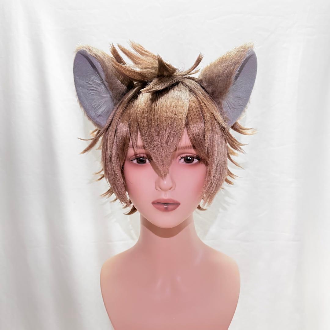 ラギー・ブッチ ウィッグ コスプレ ツイステ つけ耳 尻尾 ㉙ - メルカリ