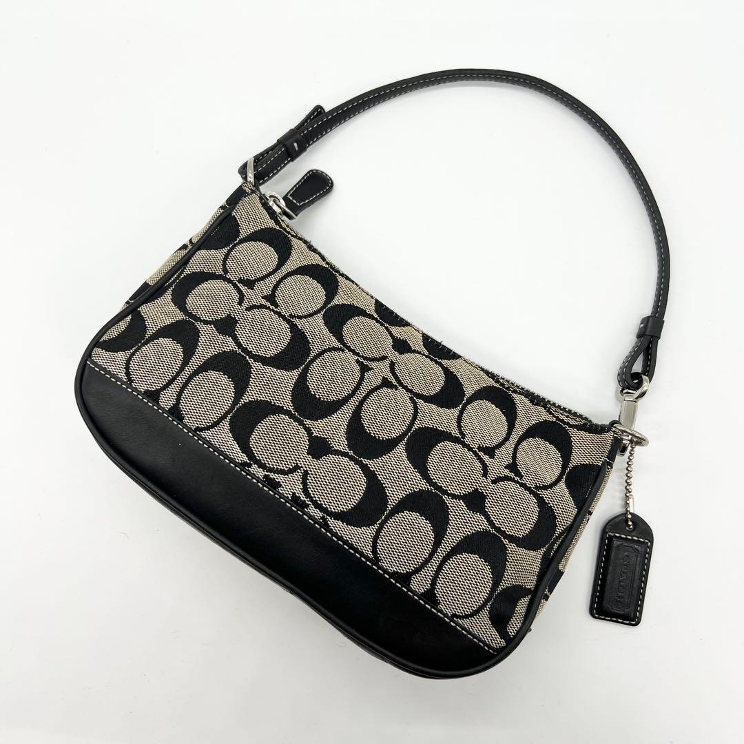 Coach 6094 Signature Accessory pouch y2k
