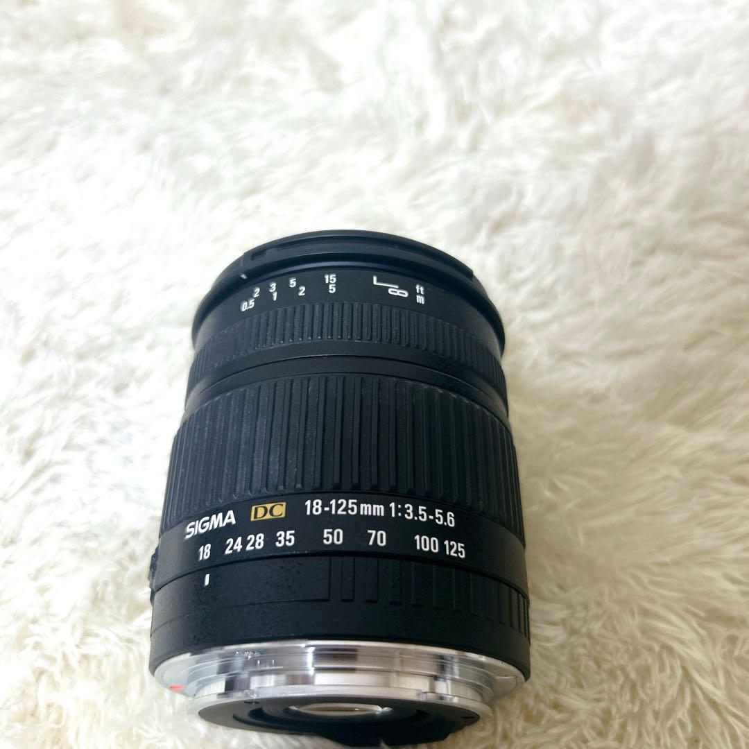 SIGMA シグマ AF 18-125mm F3.5-5.6 DC Canon用