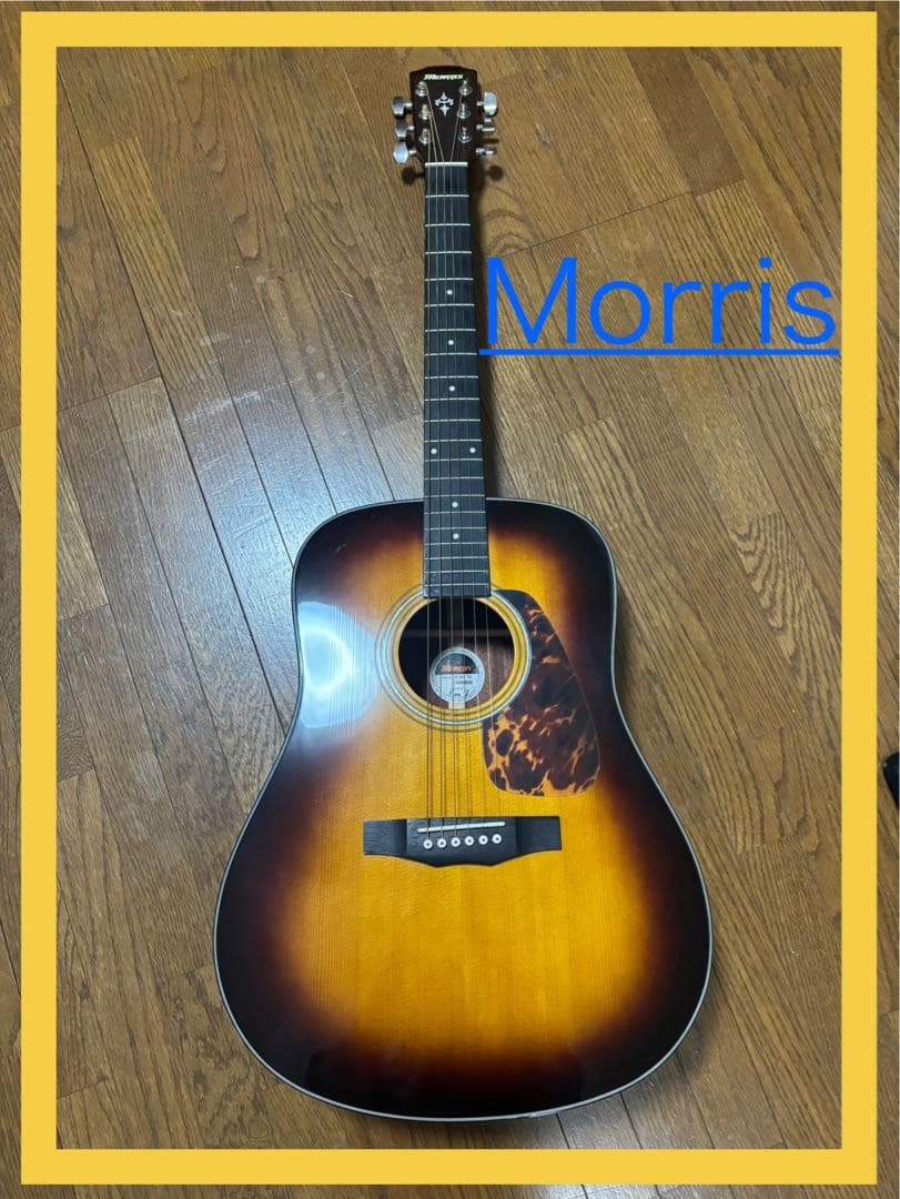 Morris モーリス アコギ M-351 TS ギターケース付 サンバースト M-351 | 生産完了品 | MORRIS GUITARS モーリスギター