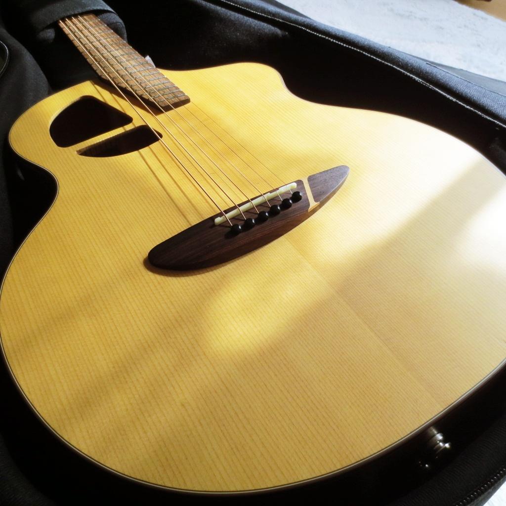 軽量で弾きやすいエレアコのマレーシア発ブランド\"エル・ルシアー\"