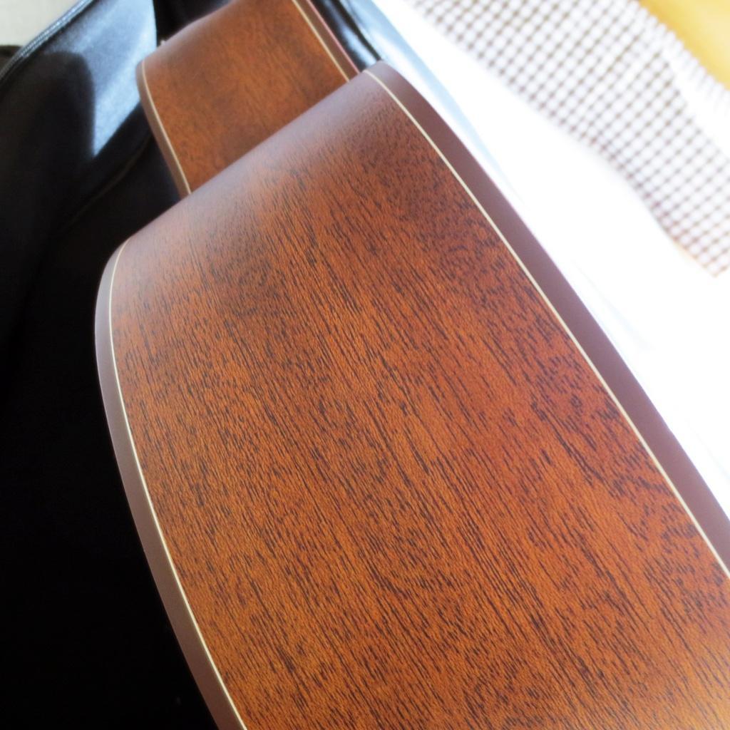 軽量で弾きやすいエレアコのマレーシア発ブランド\"エル・ルシアー\"