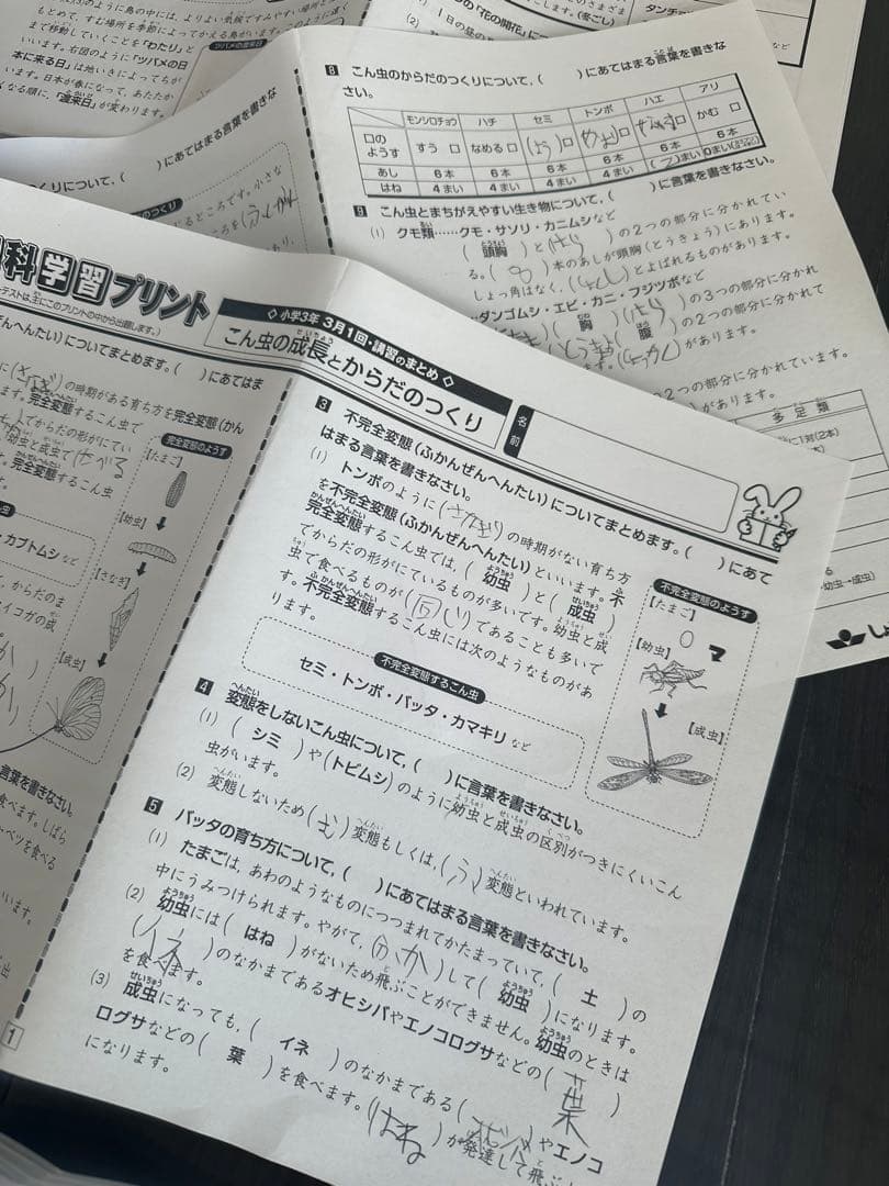 奨学社 小3 理科 1年分 しょうがく社 リビューテスト 実力テスト