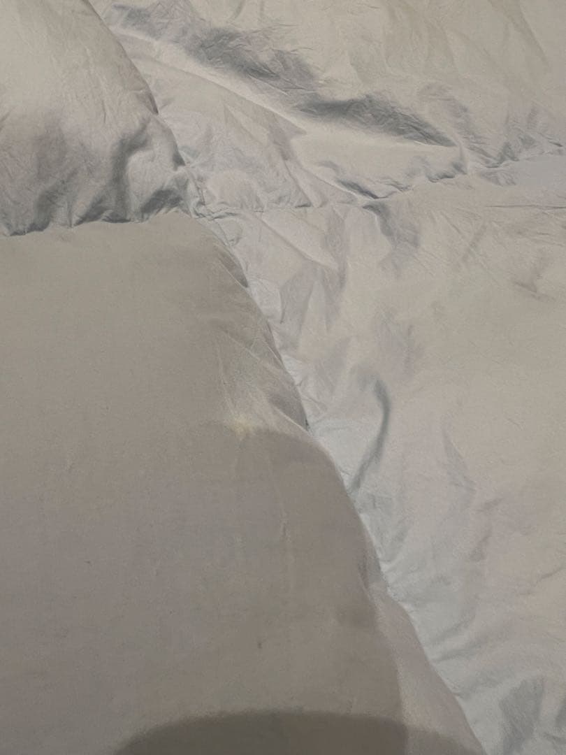 ポーランドグースダウン90% ドイツ製「セダウナ」　シングル 1.1k 軽量