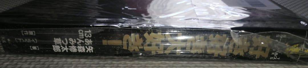 矢森惨太郎・13cm】好き好き大好き! 小説 - メルカリ